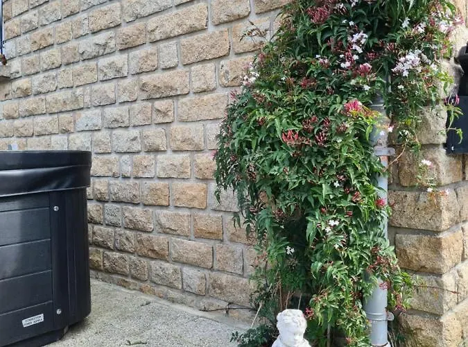 Dom wakacyjny Mont Naia *